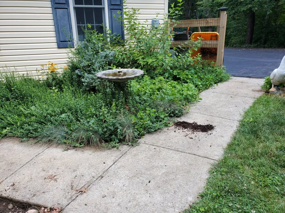 Trusted landscaping services experts serving Carlisle, PA - Elegant Landscapes