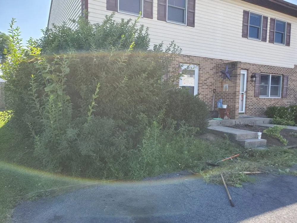 Reliable garden landscaping in Carlisle, PA by Elegant Landscapes