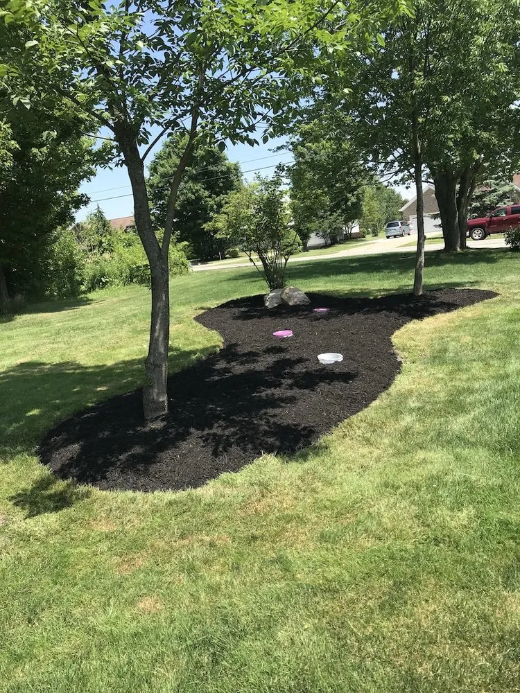 Trusted lawn care service experts serving Chattanooga, TN - Elegant Landscaping & Lawn Services