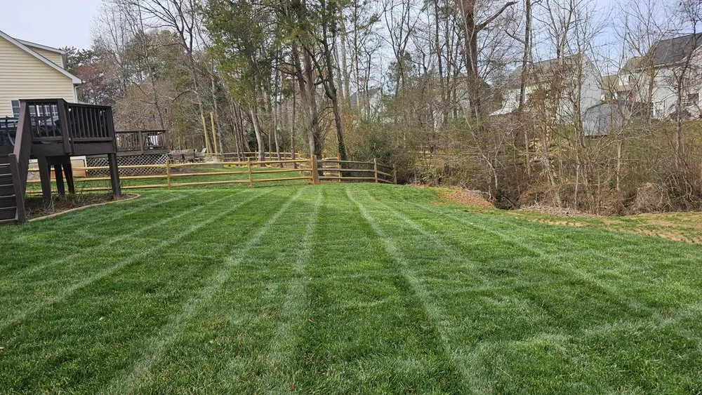 Trusted lawn mowing service in Charlotte, NC by Elegant Landscaping