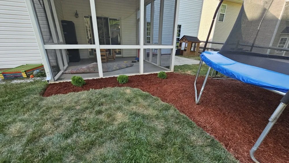 Reliable yard maintenance for year-round maintenance across Charlotte, NC - Elegant Landscaping