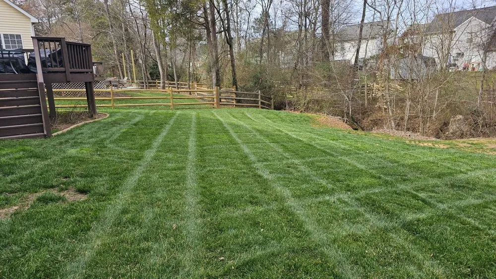 Top-rated residential landscaping near you in Charlotte, NC by Elegant Landscaping