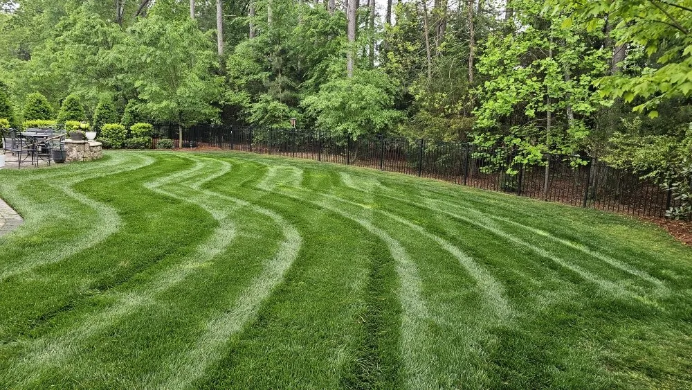 Trusted yard maintenance in Charlotte, NC by Elegant Landscaping