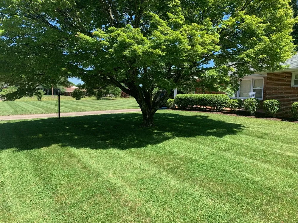 Affordable landscape installation for residential properties across Covington, LA - Elegant Landscaping