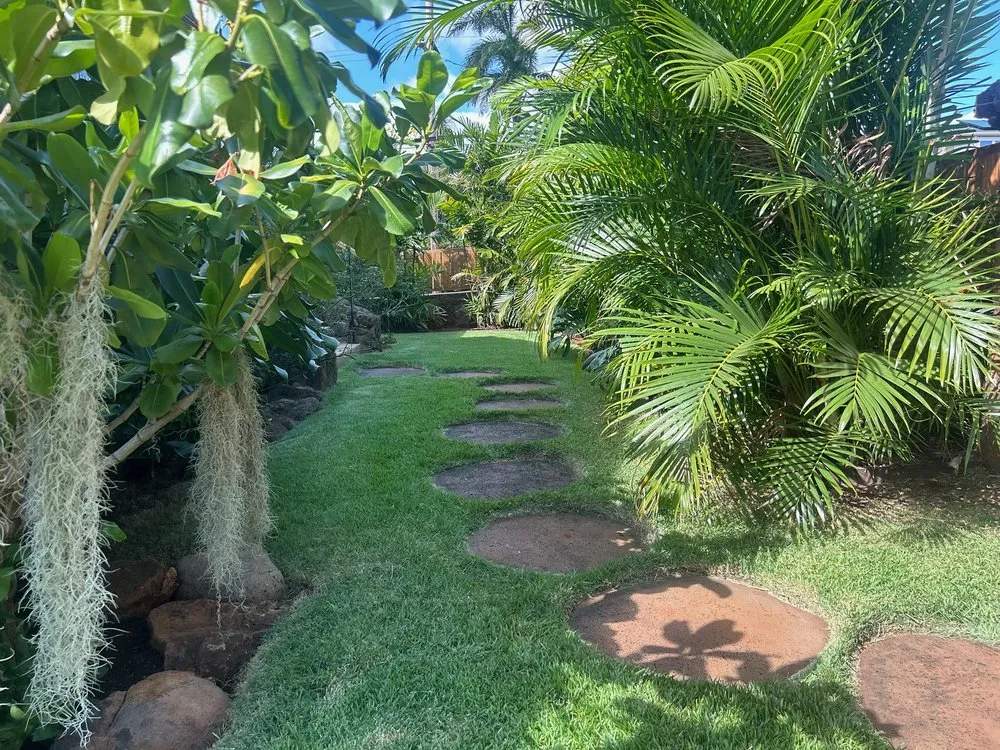 Reliable yard cleanup service experts serving Covington, LA - Elegant Landscaping