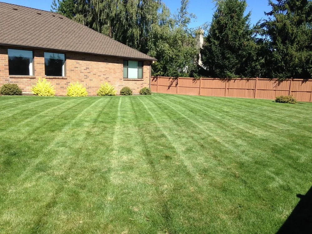 Expert yard maintenance in Covington, LA by Elegant Landscaping