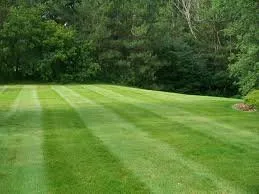 Trusted yard maintenance experts serving Erie, PA - Elegant Landscaping