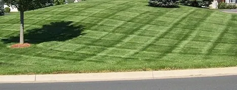 Local lawn mowing service in Erie, PA by Elegant Landscaping