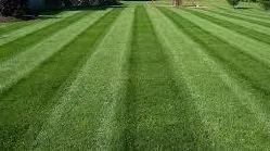 Affordable landscape design for beautiful yards across Erie, PA - Elegant Landscaping