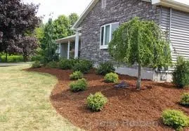 Affordable lawn care service in Erie, PA - Elegant Landscaping