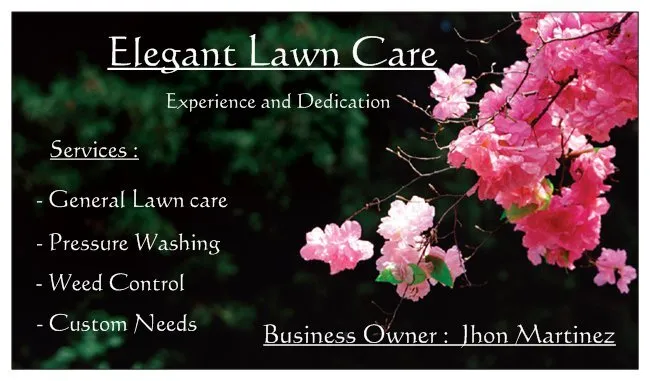 Professional yard cleanup service in kissimmee, FL - Elegant Lawn Care