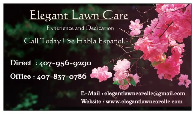 Top-rated yard maintenance with custom design in kissimmee, FL by Elegant Lawn Care