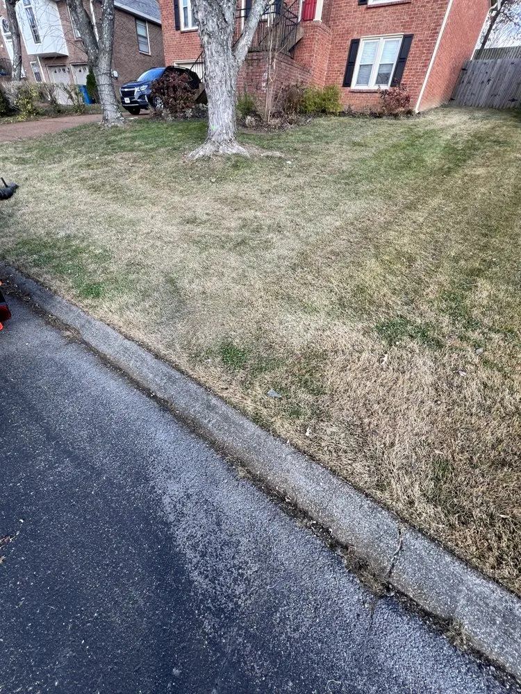 Local landscaping services in Smyrna, TN by Elegant Lawncare and Landscape