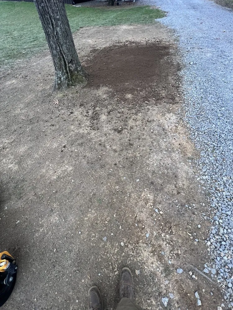 Professional residential landscaping for homes in Smyrna, TN by Elegant Lawncare and Landscape