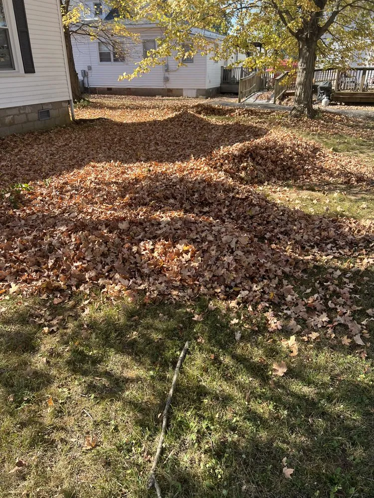 Local yard cleanup service for beautiful yards across Smyrna, TN - Elegant Lawncare and Landscape