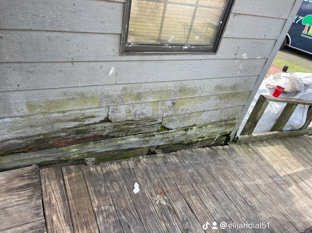 Custom yard cleanup service for year-round maintenance in Pensacola, FL by Elegant Lawncare And Maintenance