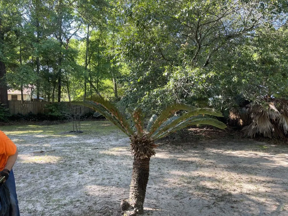 Custom landscape design in Pensacola, FL - Elegant Lawncare And Maintenance