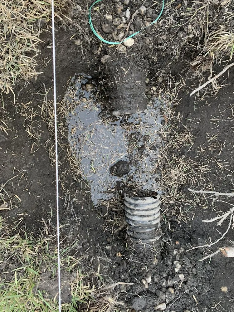 Reliable lawn care service experts serving Pensacola, FL - Elegant Lawncare And Maintenance