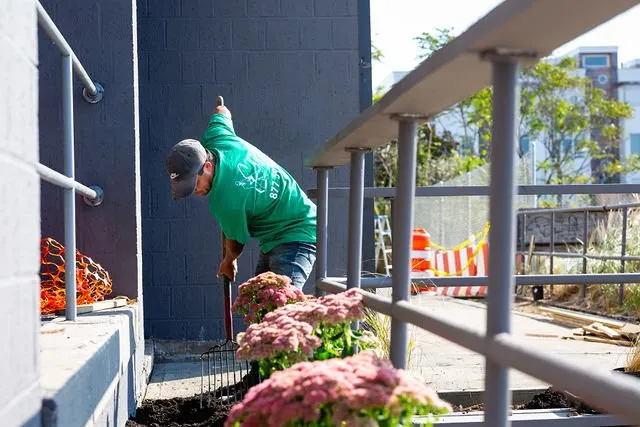 Expert outdoor landscaping in Inwood, NY by Elegant Lawns & Landscaping