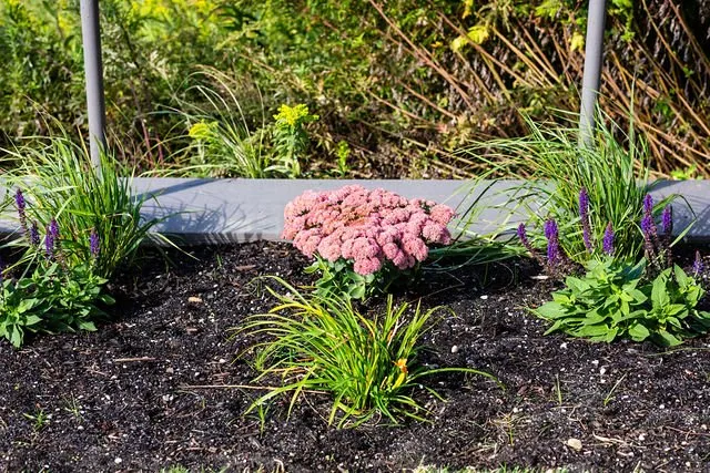 Expert lawn care service in Inwood, NY by Elegant Lawns & Landscaping