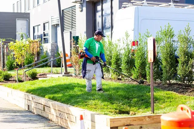 Custom yard cleanup service in Inwood, NY - Elegant Lawns & Landscaping