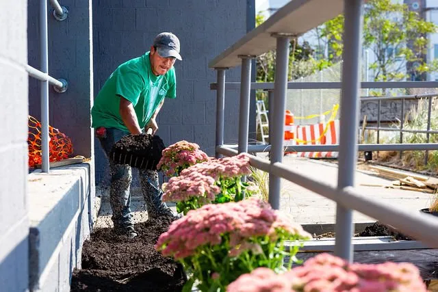 Local landscape installation experts serving Inwood, NY - Elegant Lawns & Landscaping