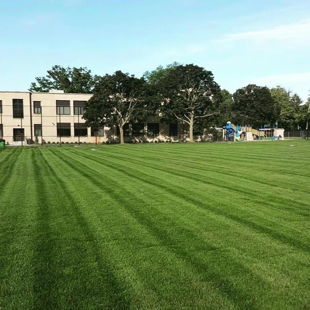 Top-rated landscaping services for residential properties in Inwood, NY by Elegant Lawns & Landscaping