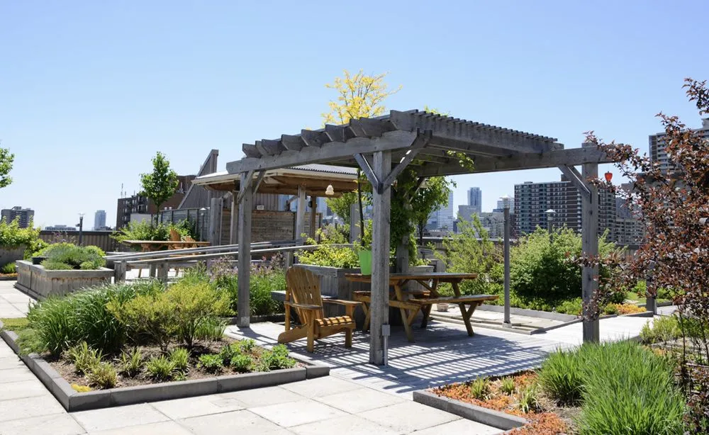 Trusted lawn care service in Chicago, IL by Elegant Outdoor Designs