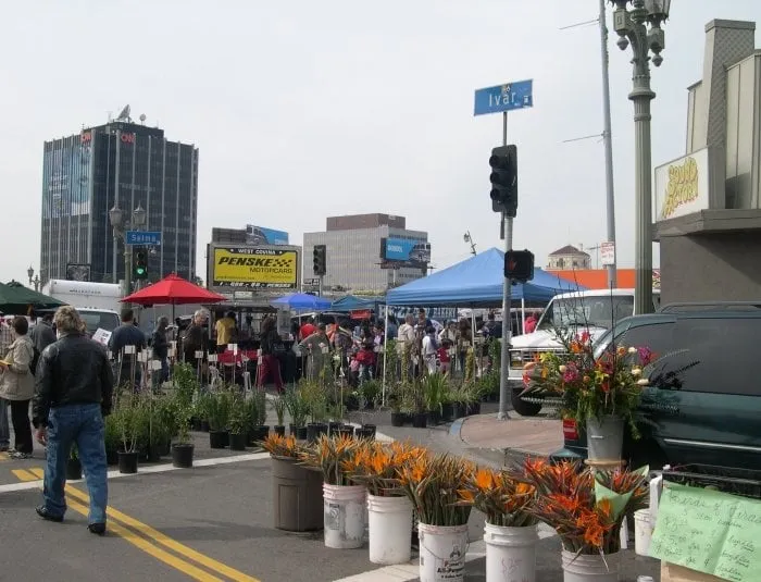Custom landscape installation for beautiful yards across Chicago, IL - Elegant Outdoor Designs