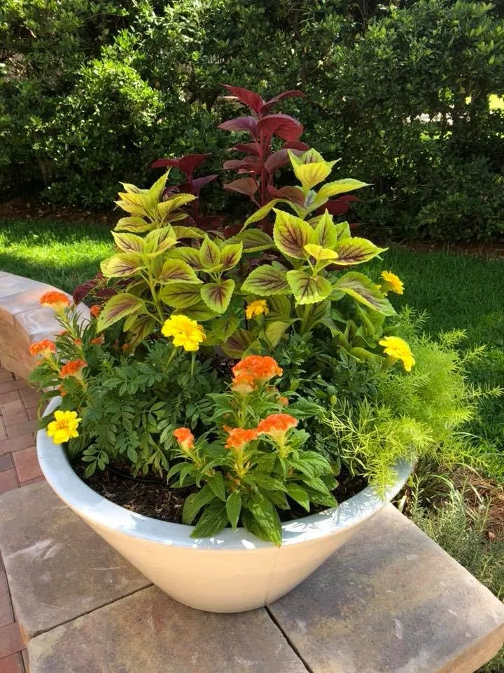 Custom landscape design in Saint Simons Island, GA by Elegant Outdoors