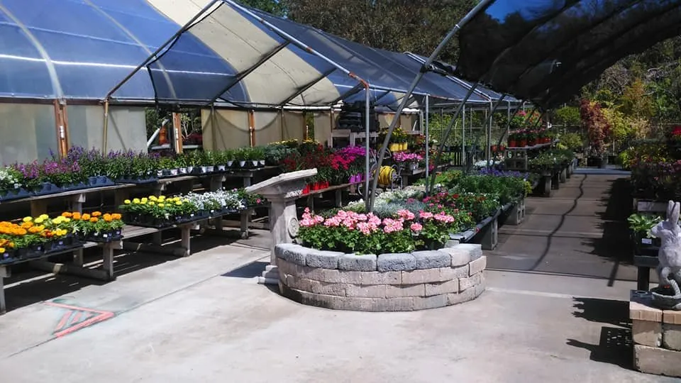 Professional lawn mowing service in Saint Simons Island, GA by Elegant Outdoors