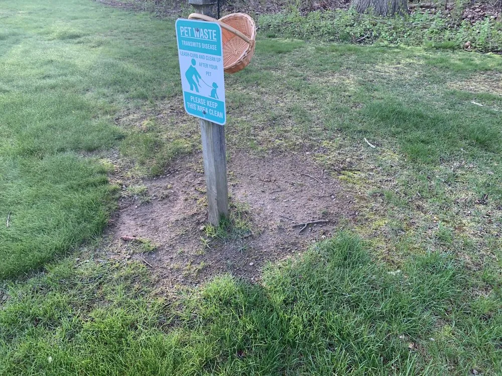 Affordable outdoor landscaping for residential properties across Clifton Park, NY - Elegant Property Maintenance & Landscaping