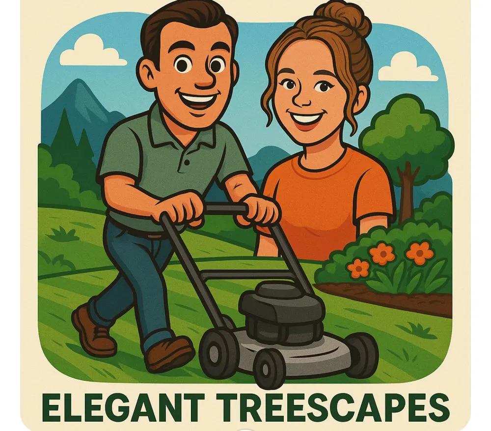 Affordable landscape design experts serving Cape Coral, FL - Elegant Treescapes