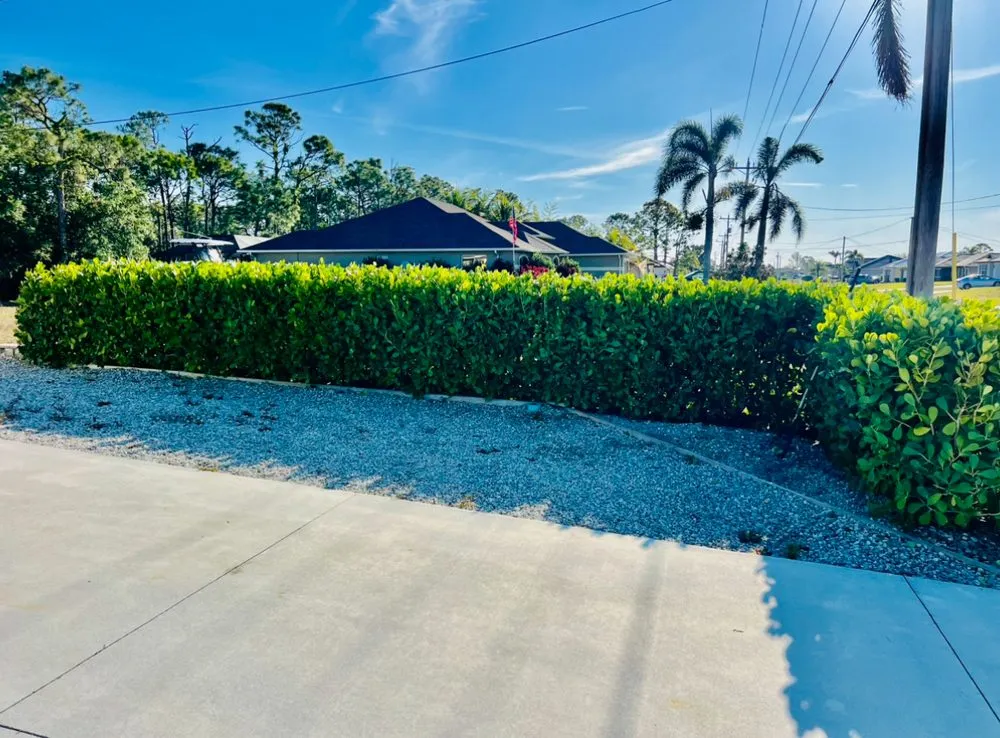 Reliable landscape installation experts serving Cape Coral, FL - Elegant Treescapes