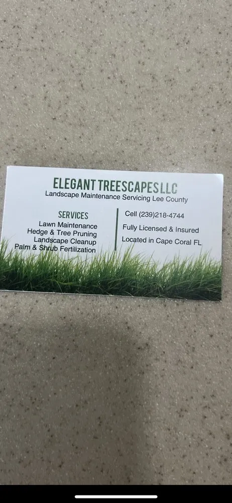 Trusted lawn mowing service for year-round maintenance across Cape Coral, FL - Elegant Treescapes