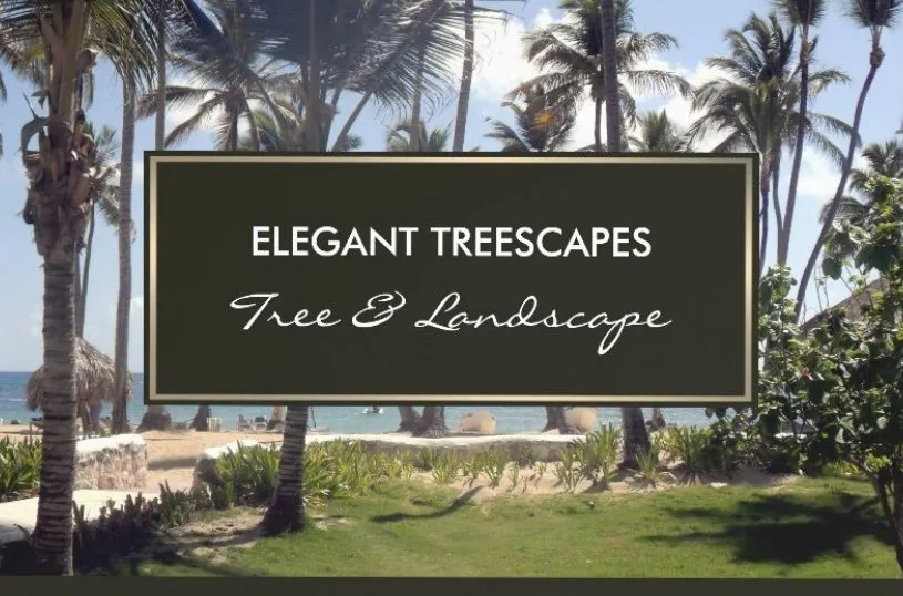 Professional lawn mowing service for year-round maintenance in Cape Coral, FL by Elegant Treescapes