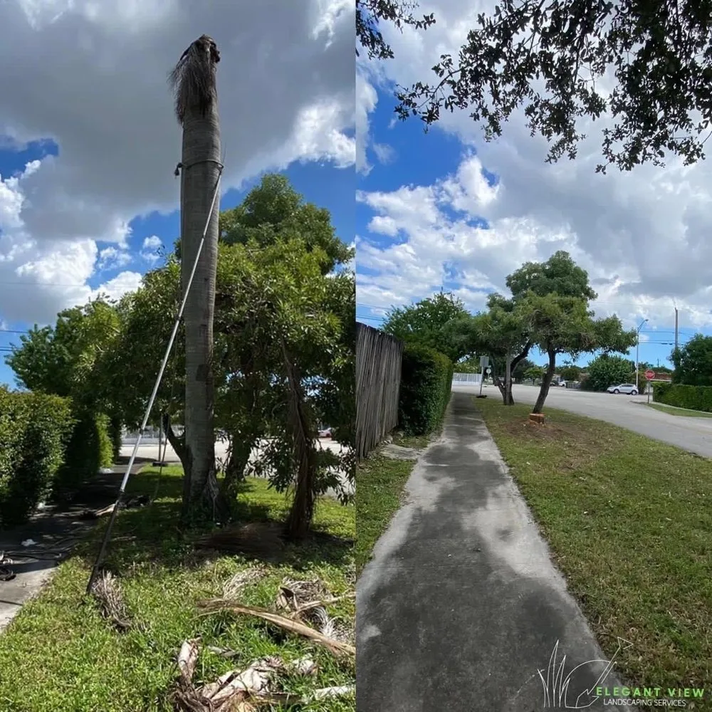 Expert residential landscaping near you across Hialeah, FL - Elegant View Landscaping Services