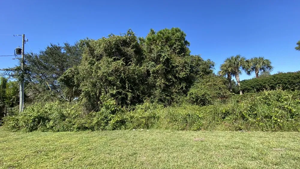 Expert lawn mowing service in Hialeah, FL - Elegant View Landscaping Services