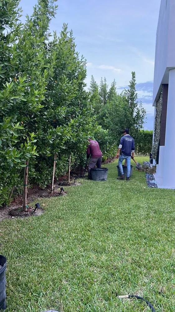 Reliable yard cleanup service in Hialeah, FL - Elegant View Landscaping Services