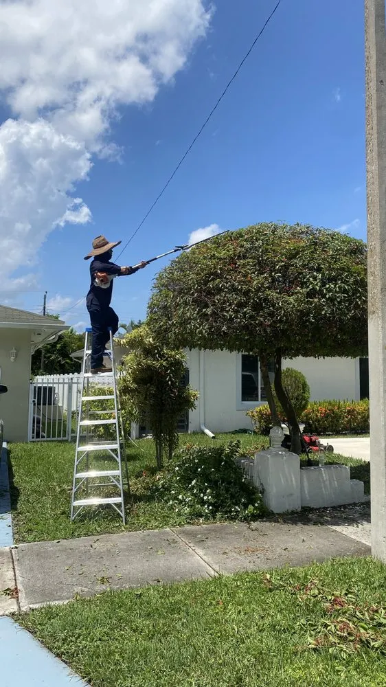 Professional landscape design with custom design across Hialeah, FL - Elegant View Landscaping Services