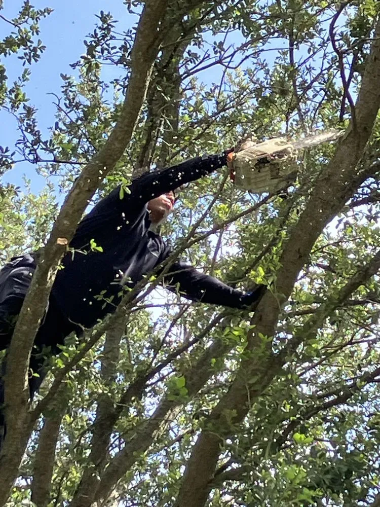 Affordable outdoor landscaping experts serving Hialeah, FL - Elegant View Landscaping Services