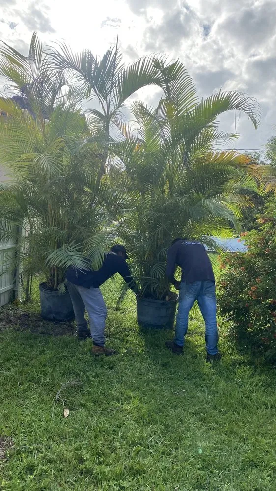 Local yard maintenance experts serving Hialeah, FL - Elegant View Landscaping Services