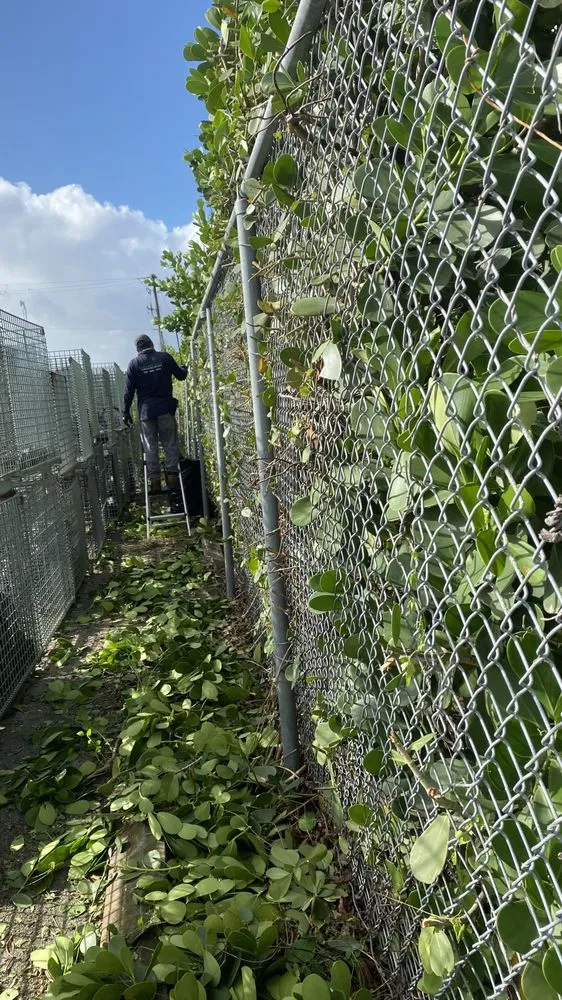 Expert landscape design in Hialeah, FL - Elegant View Landscaping Services