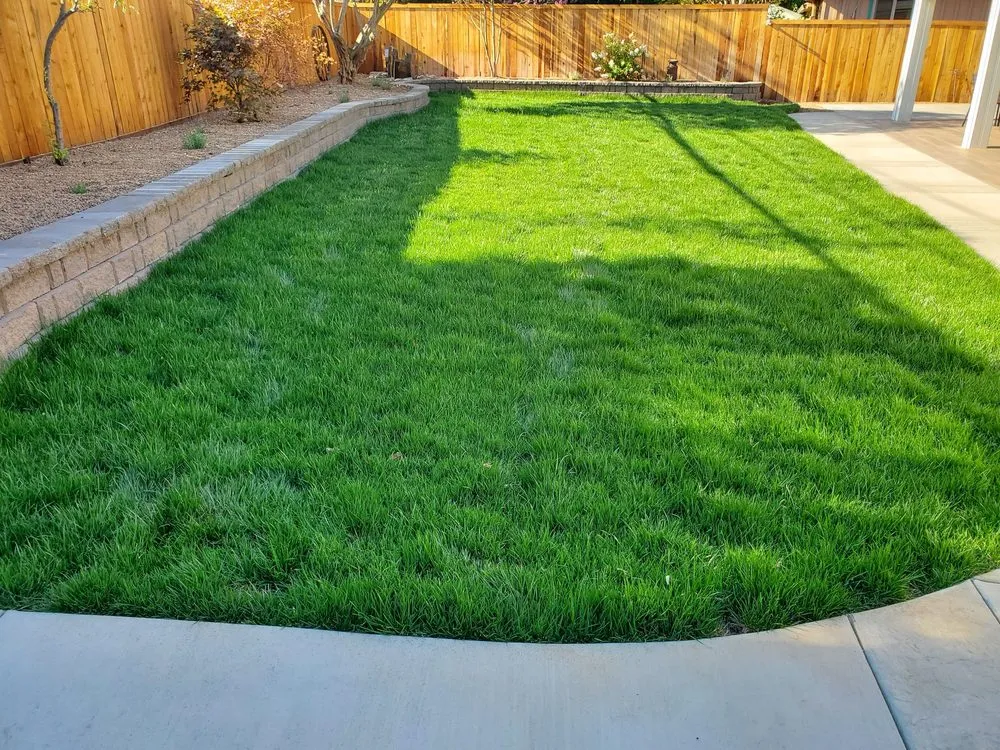 Custom yard maintenance in North Highlands, CA - Elegante Landscapes