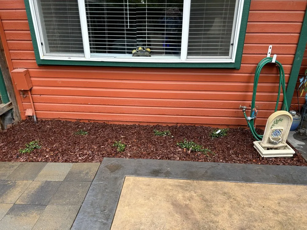 Affordable landscape design experts serving North Highlands, CA - Elegante Landscapes