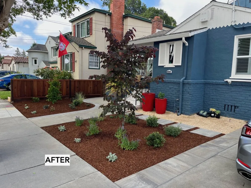 Top-rated lawn care service for beautiful yards in San Rafael, CA by Element Garden Design