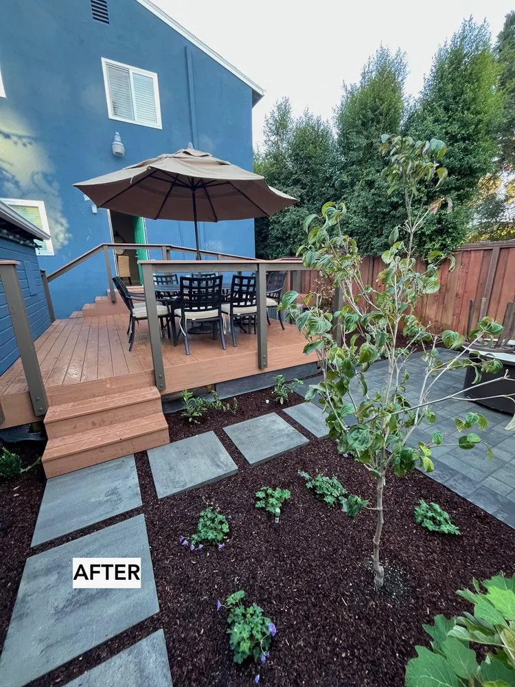 Affordable residential landscaping experts serving San Rafael, CA - Element Garden Design