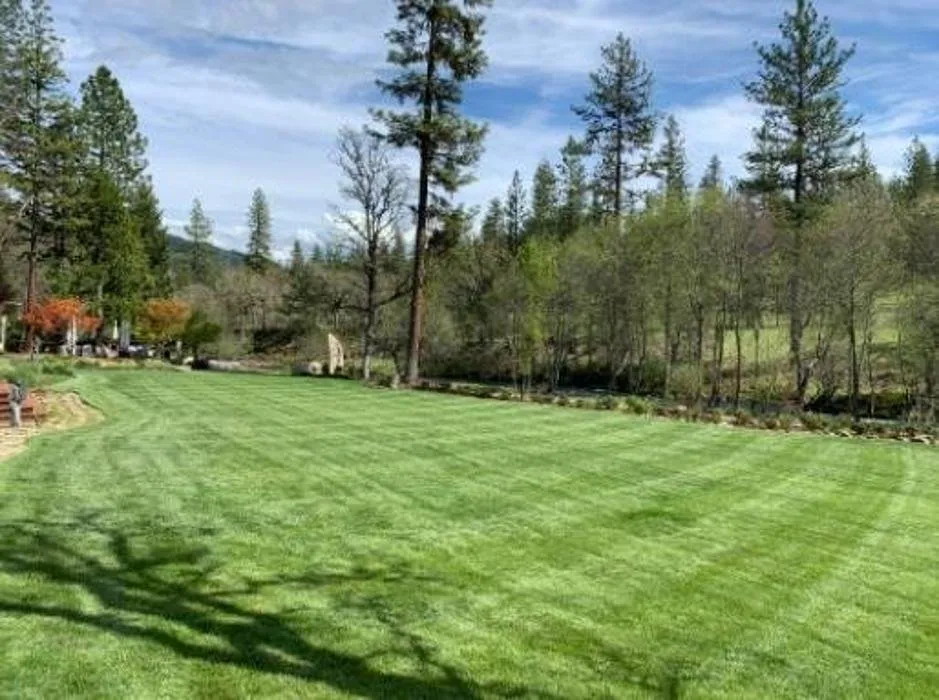 Custom landscape installation for residential properties in Central Point, OR by Element Landscape Maintenance