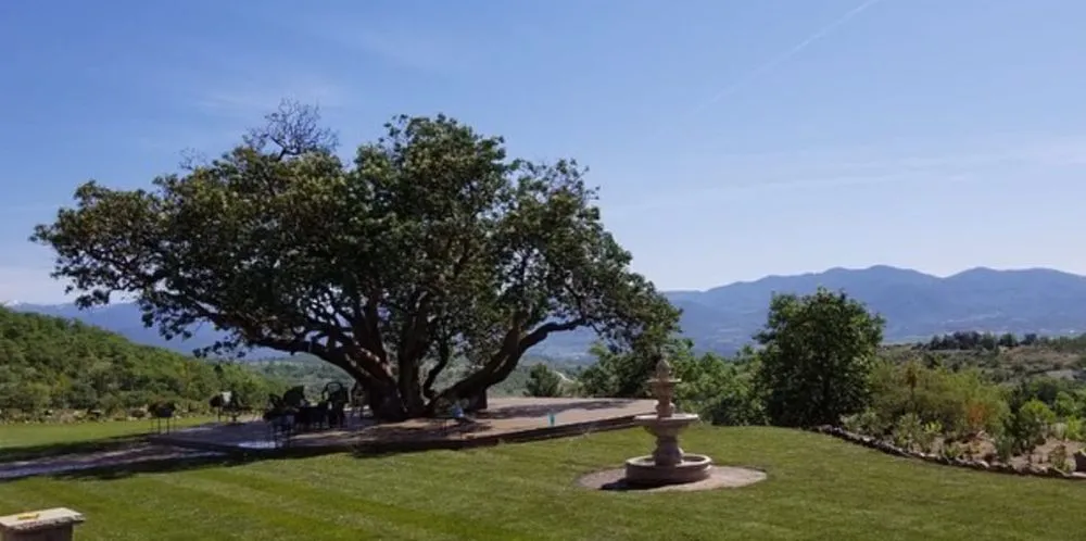 Local yard maintenance in Central Point, OR - Element Landscape Maintenance