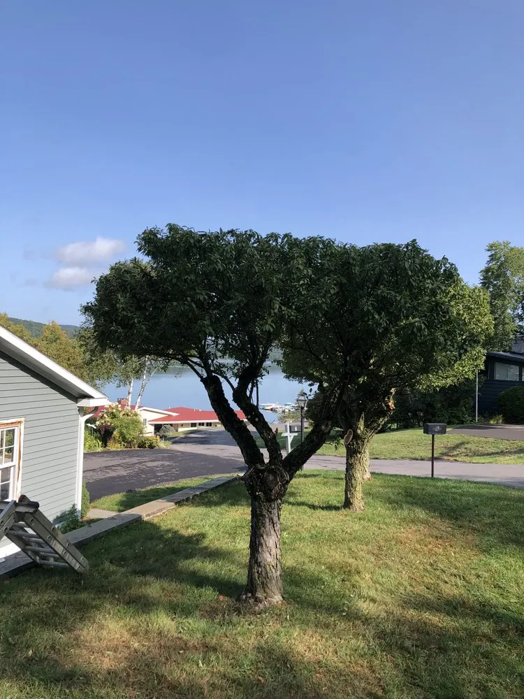 Professional residential landscaping in Cooperstown, NY - Element Landscaping